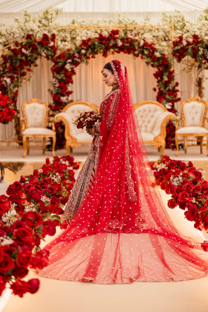 Bride in a red lehenga with a long trailing dupatta on a stage of red roses and gold chairs
