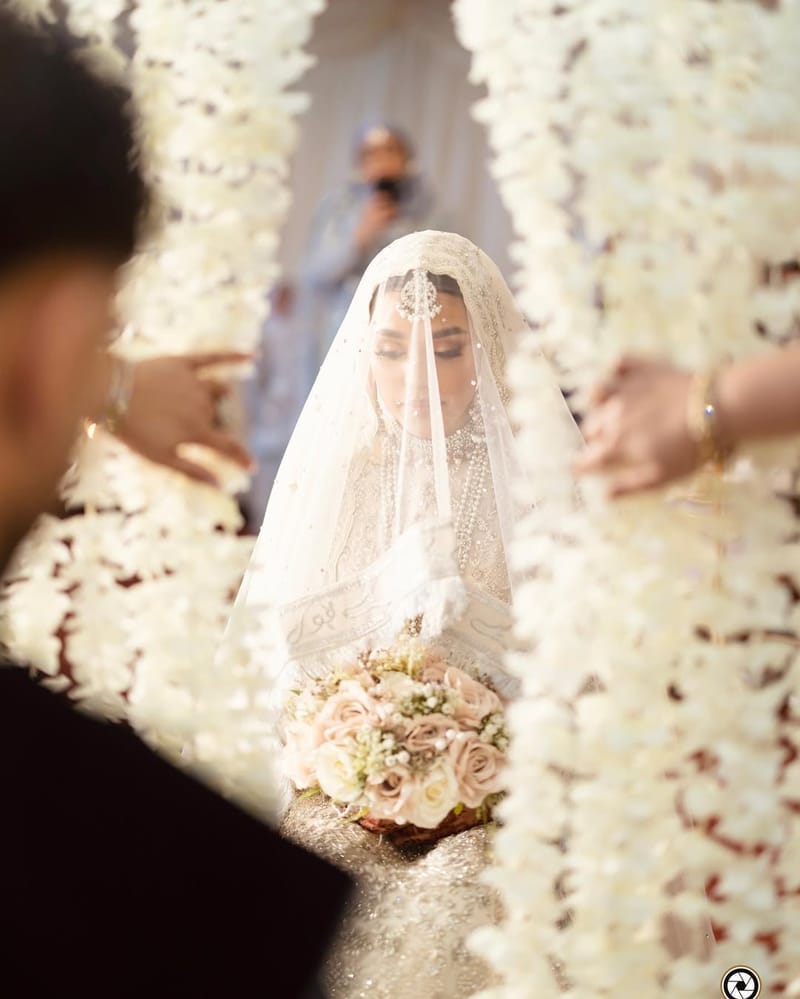 Bride under a sheer white veil holding pink roses, framed by strings of white flowers